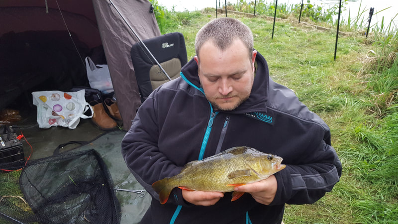 Another cracking perch for manager Dave. Photo