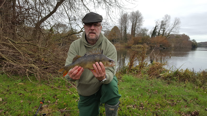 A cracking perch for Steve Burgess. Photo