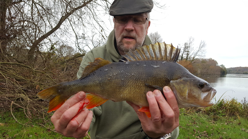 3lb of Wingham Perch for Budgie Burgess. Photo