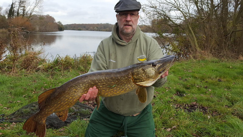 A high double pike for Budgie. Photo