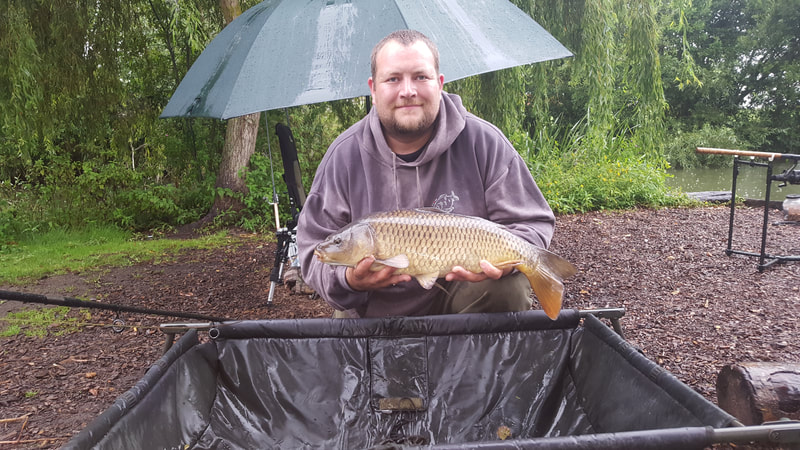 A small common carp on a wet day