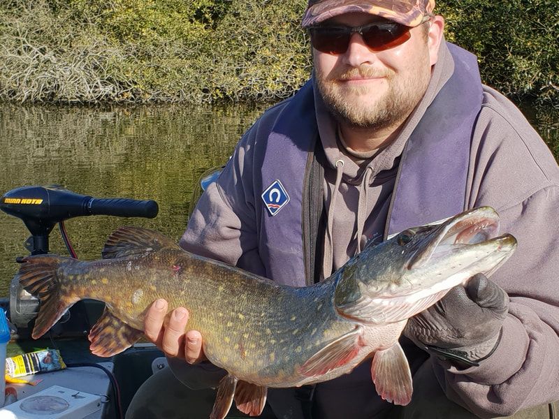 A lure caught pike for David Benbow