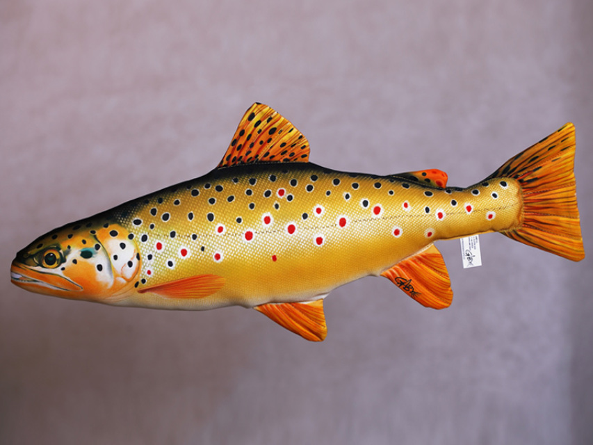 Rainbow trout pillow deals