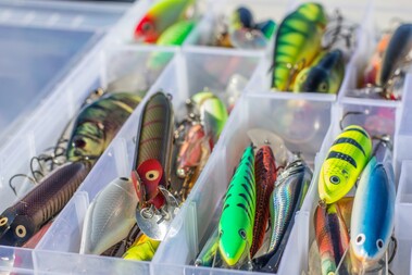 Pike lures category image
