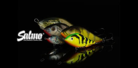 Salmo logo