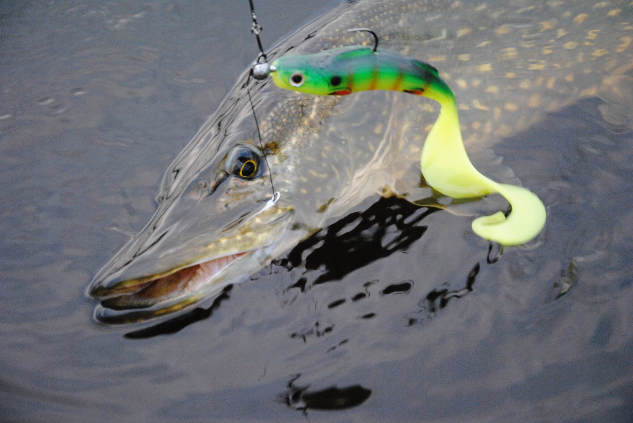 Pikemonster