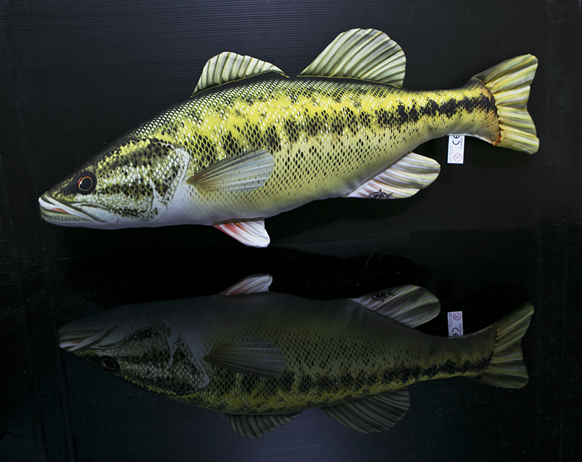 Bass fish pillow top
