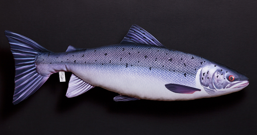 Salmon fish pillow top